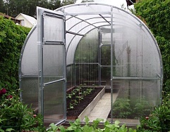 Теплица Садовая-ЦИНК