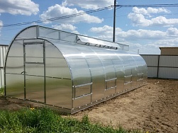 Теплица Митлайдер